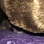 Bobby Huber - @bobbyhuber9 - Instagram