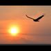 Bob Hussey - Facebook