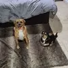 Bobby Hussey - @bobbyhussey - TikTok