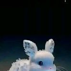 Jane Bobby - Facebook