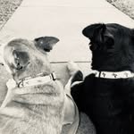 BobbyJudd - @bobbyjuddandkona - Instagram