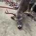 Bobby Kimbrell - Facebook