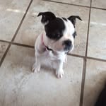 Bobby kirk - @mimigirlboston - Instagram