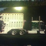 Bobby Kirk - @bobby.kirk.9400 - Instagram