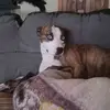 Bobby Lambert - @bobby.lambert - TikTok