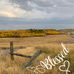 Bobbie MostlyLane Larsen - Facebook