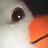 BobbyLarsen - @hoytkifoqg8 - TikTok
