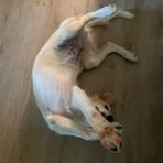 Bobby Li - Facebook