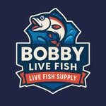 BOBBY LIVE FISH - @bobby_live_fish - Instagram