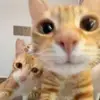 bobbyli - @bobbyli790 - TikTok