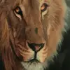 Bobby lugo - @bobby.lugo - TikTok