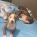 Bobby Manuel - Facebook