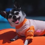 вoввy🥰❤️🦑 - @bobby.aka.mrmarbles - Instagram