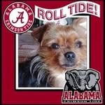 Bobby Marcum - @marcumbobby - Instagram