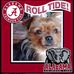 Bobby Marcum - Facebook