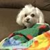 Bobby Marcus - Facebook