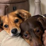 Bobby Marek - @bobbymarek - Instagram