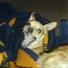 bobbymarkham5 - @bobby.markham - TikTok