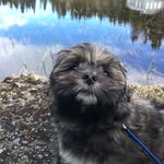 Bobby Marley - @marleymix - Instagram