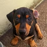 Bobby Marley - @bobby_marley13 - Instagram
