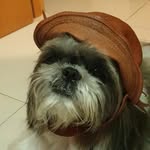 Bobby Marley🐶 - @bobbymarley08 - Instagram