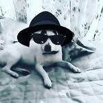 bobby marley - @_.bobby_marley._ - Instagram