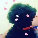 Bobby Marley - @bobby_m.a.r.l.e.y - Instagram