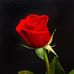 Bobby Marley - Facebook