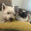 ❤️Bobby❤️&❤️Marley❤️ - @bobby_marley.emily - TikTok