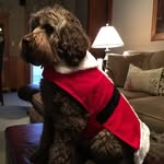 Bobbie Marlow - @bojomlo - Instagram