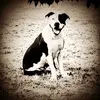 bobby - @bobby.marlowe - TikTok