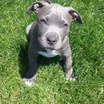 Bobby Marquez - @bobby.marquez.549 - Instagram