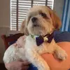 bobbymarros148 - @bobbymarros148 - TikTok