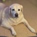Bobby Marshall - Facebook