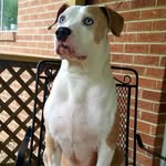 Bobby Marshall - @bobby.marshall.84 - Instagram