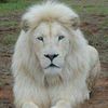 bobby marshall - @bobby.marshall1 - TikTok
