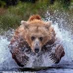 Bobby Mashburn - Facebook