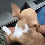 Bobby Mashburn - Facebook