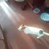 Bobbie Massengill - @bobbie.massengill2 - TikTok