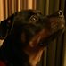 Bobbie Massengill - Facebook