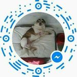 Bobby Massey - @bobby.massey.75248 - Instagram