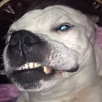 Bobby MakDaddy Masters - @bobbymakdaddymasters - Instagram