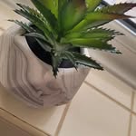 Bobby Mathews - @bobby.mathews23 - Instagram