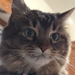 Bobby Mathis - @ilikework8832 - Instagram
