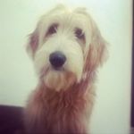 Bobby Dias De Matos Izidro - @bobbydiasm - Instagram