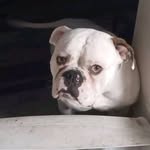 Bobby Matthews - @matthewsbobby66 - Instagram