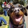 Bobby Matthews - @bobby.matthews3 - TikTok