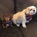 Bob Mattingly - Facebook