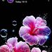 Bob Madfox - Facebook