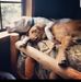 Bobby Mauldin - Facebook